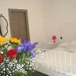 Hello World Bed and Breakfast