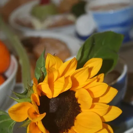 Frühstückspension Hello World 3*