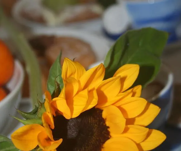 Bed and Breakfast Hello World 3*